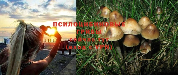 MESCALINE Абаза
